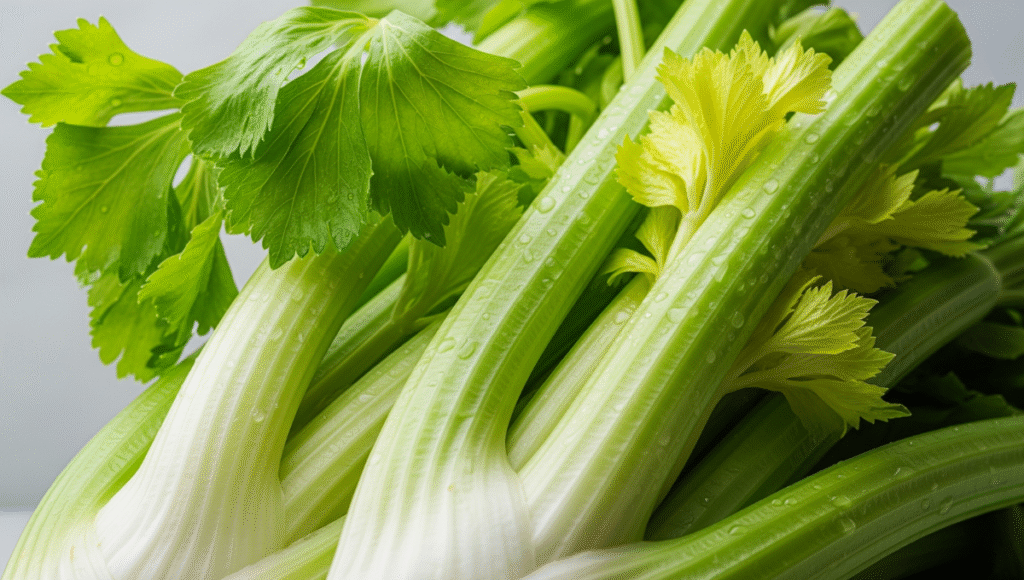 Pravi Celer Uncovered: Your Ultimate Guide to Real Celery