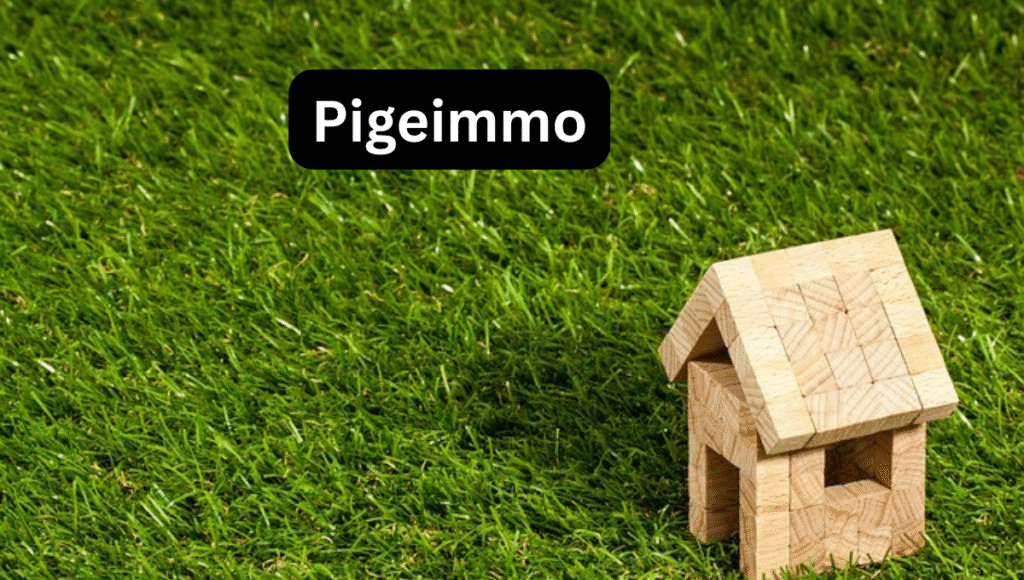 Pigeimmo: Revolutionizing the Way We See Real Estate